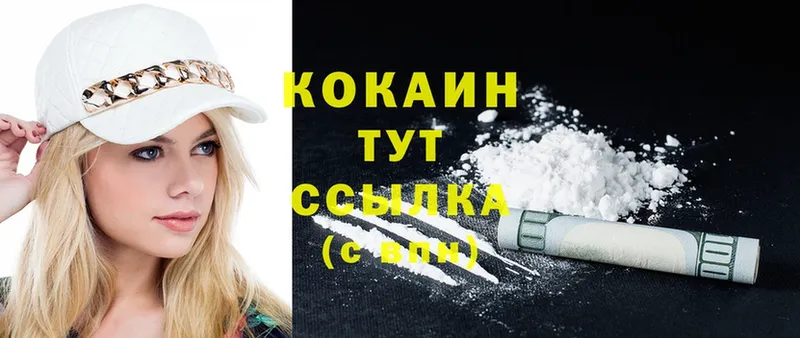 Cocaine FishScale  наркошоп  Бабушкин 